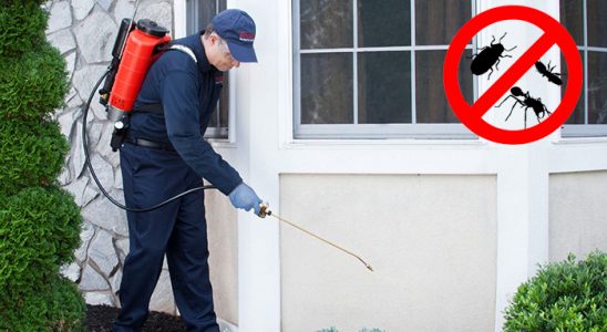 Konak Dezenfeksiyon böcek ilaçlama ve haşere kontrolü — ilaclama-tr.com